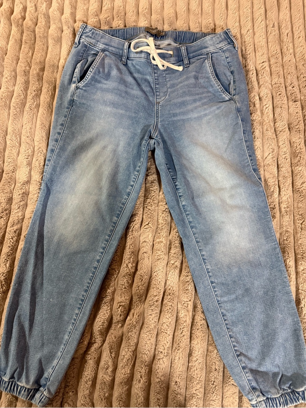 torrid Light Blue Relaxed Denim Jogger Pants
